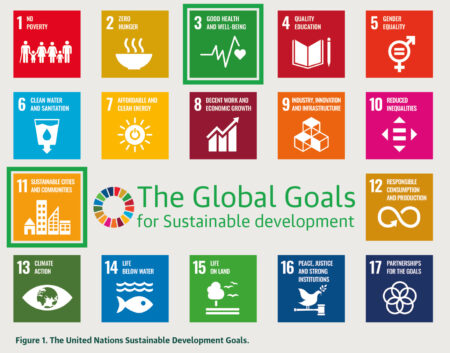 Sustainable development goals